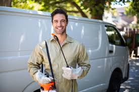 Best Pest Exclusion Services  in Detroit Beach, MI